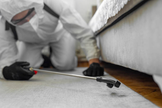 Professional Cockroach Control technician working in Beaufort County County, NC